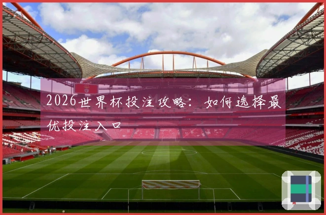 2026世界杯投注攻略：如何选择最优投注入口