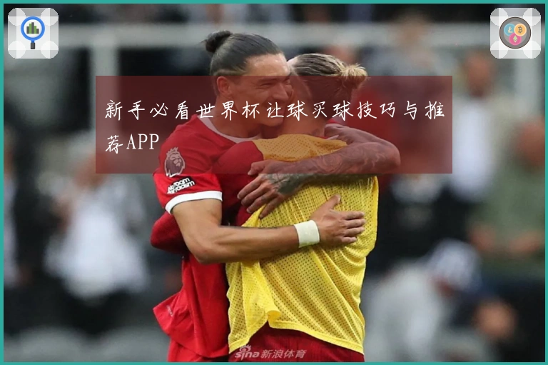 新手必看世界杯让球买球技巧与推荐APP