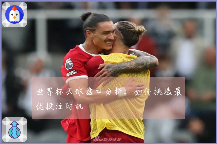 世界杯买球盘口分析：如何挑选最优投注时机