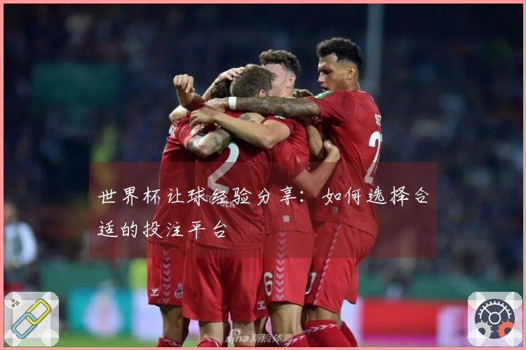 世界杯让球经验分享：如何选择合适的投注平台