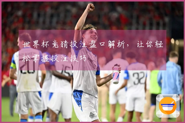 世界杯竞猜投注盘口解析，让你轻松掌握投注技巧
