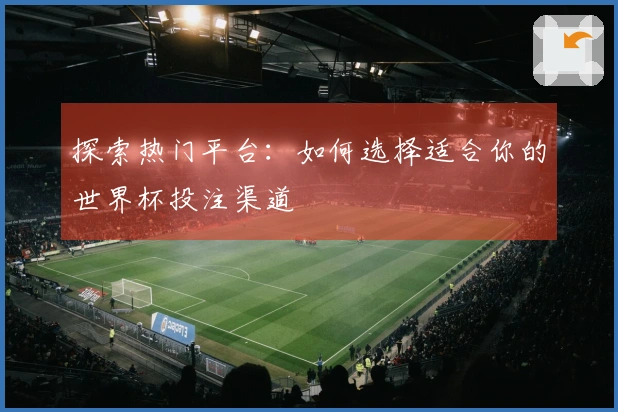 探索热门平台：如何选择适合你的世界杯投注渠道
