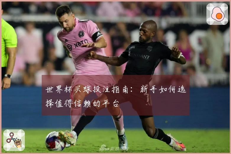 世界杯买球投注指南：新手如何选择值得信赖的平台