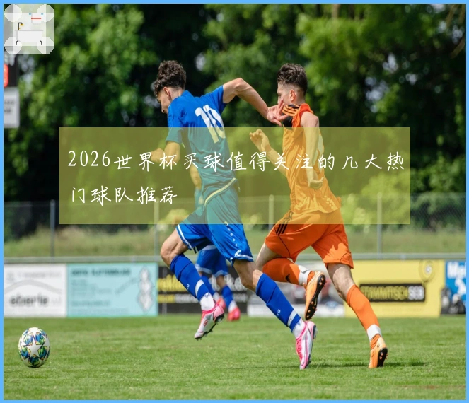 2026世界杯买球值得关注的几大热门球队推荐
