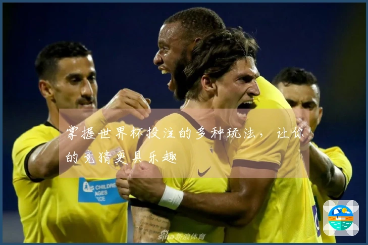 掌握世界杯投注的多种玩法，让你的竞猜更具乐趣