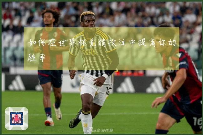 如何在世界杯竞猜投注中提高你的胜率