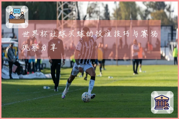 世界杯让球买球的投注技巧与赛场观察分享