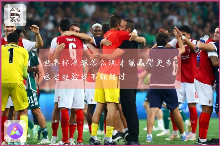 世界杯滚球怎么玩才能赢得更多？这些经验你不能错过