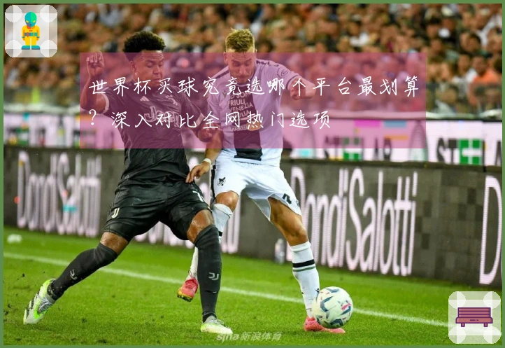 世界杯买球究竟选哪个平台最划算？深入对比全网热门选项